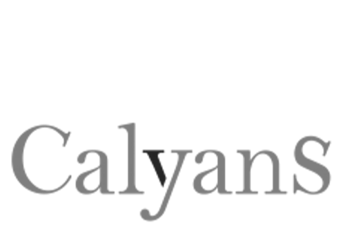 Logo HS NB Calyans-1